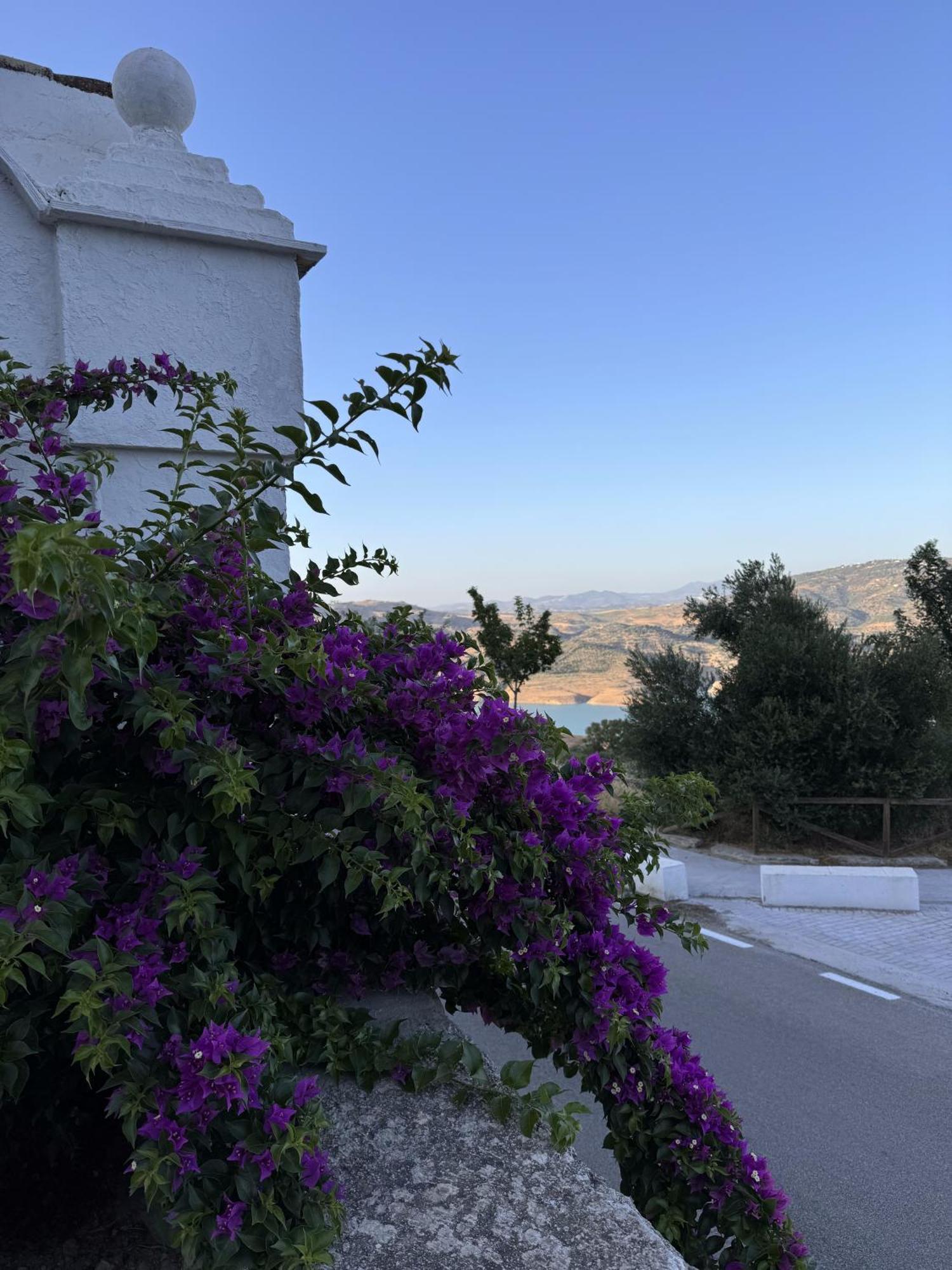 Finca Luca Oliva Zahara De La Sierra Buitenkant foto