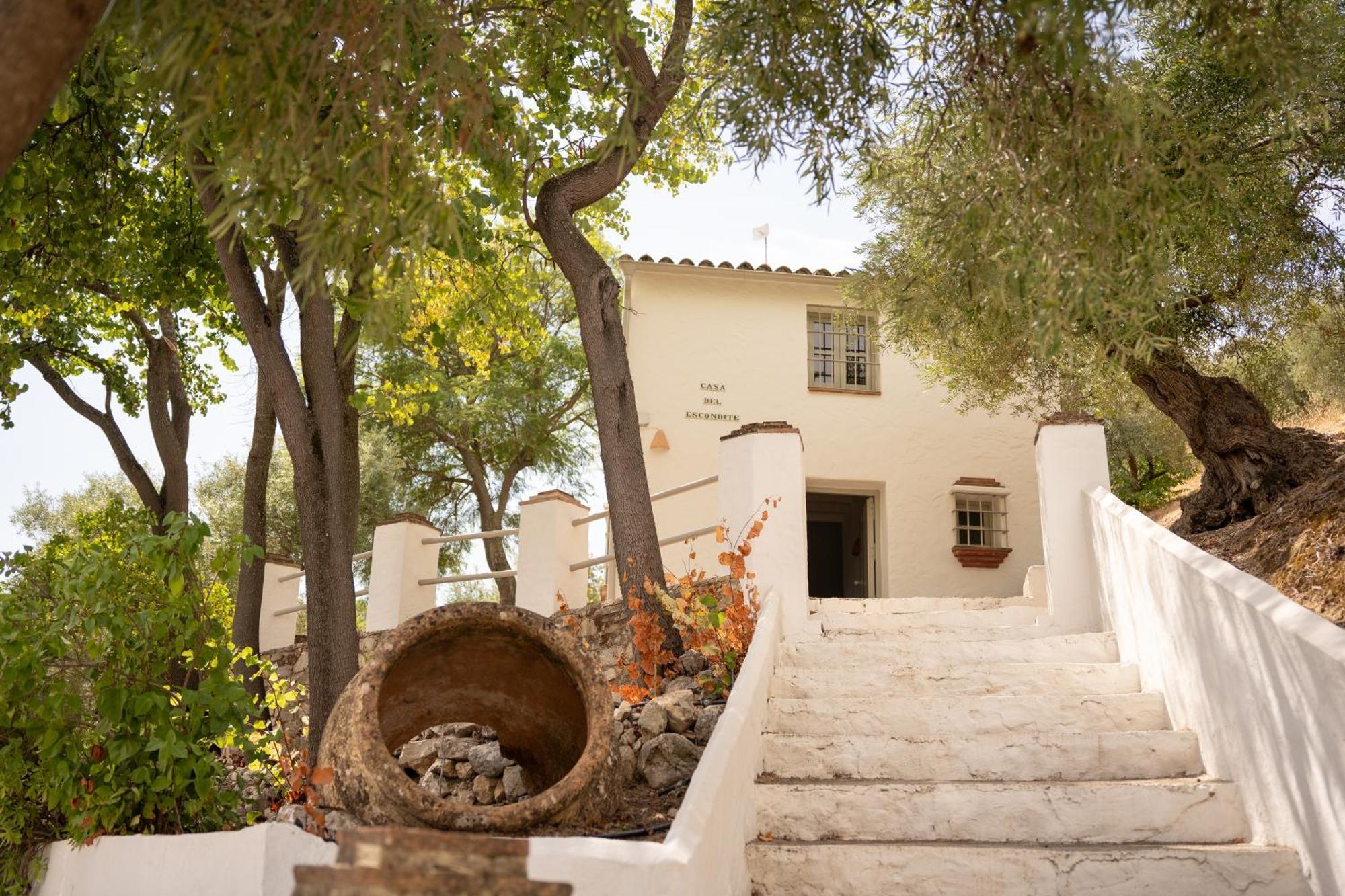 Finca Luca Oliva Zahara De La Sierra Buitenkant foto